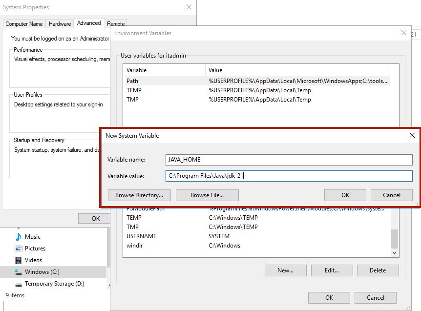 Environment Variable